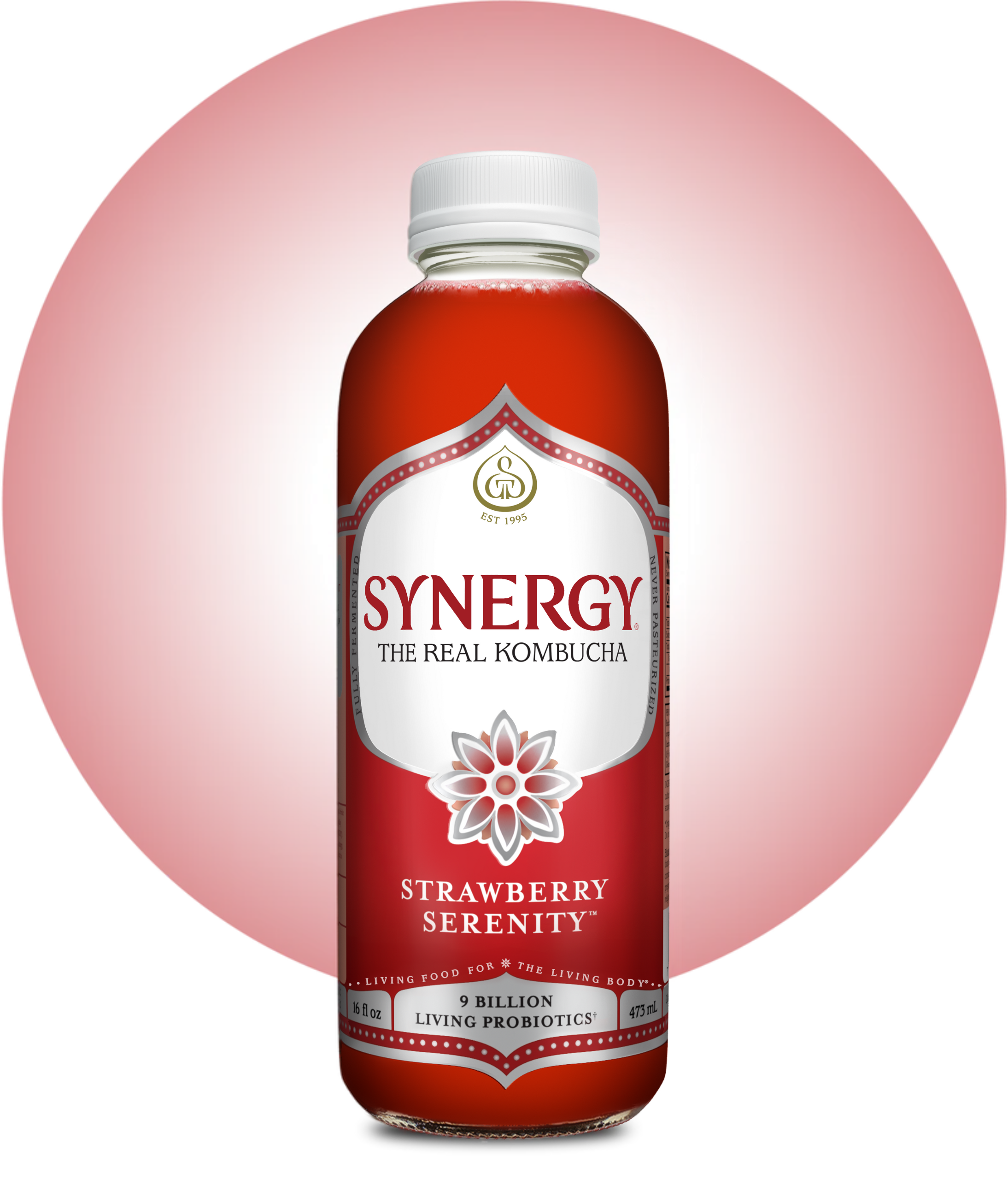 16oz Synergy Kombucha (MKT)