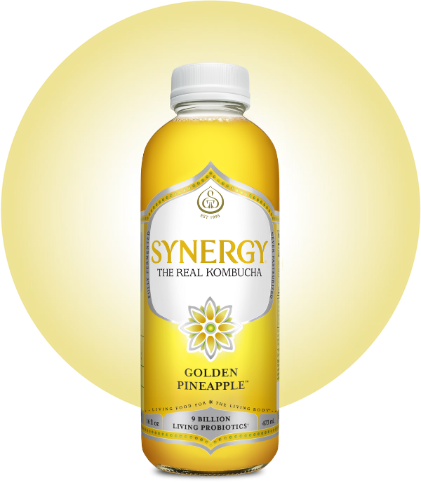 16oz Synergy Kombucha (MKT)