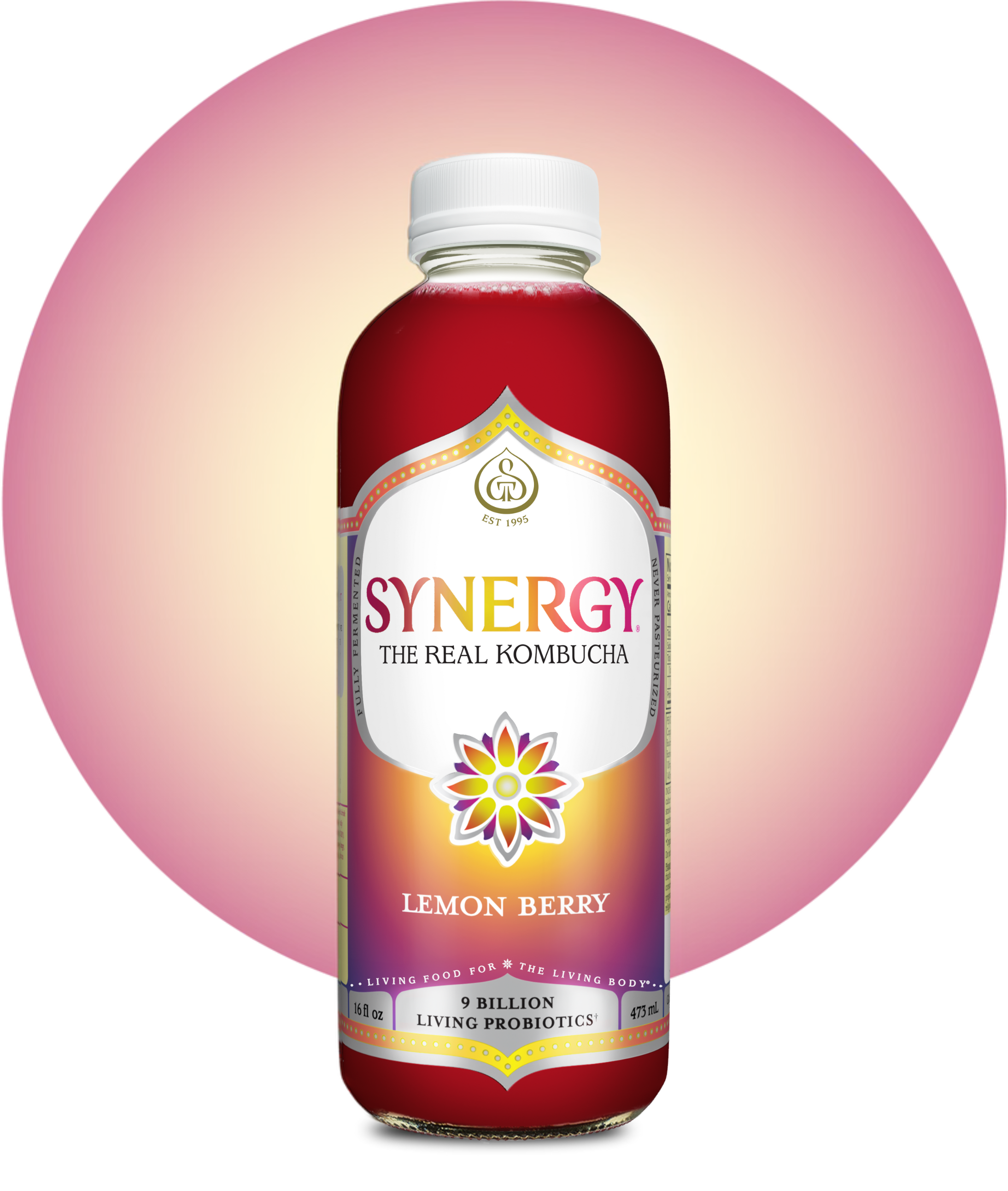 16oz Synergy Kombucha (MKT)