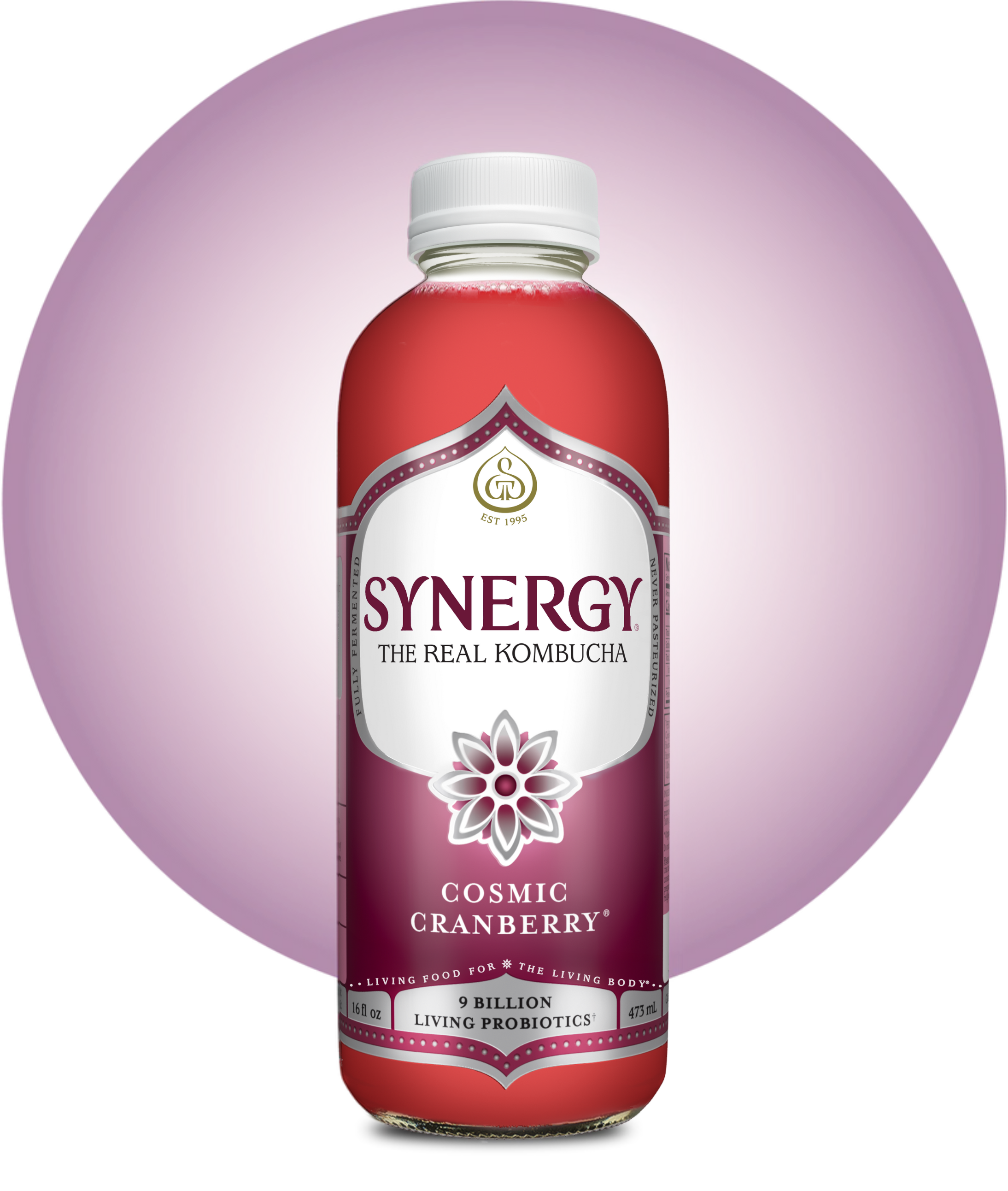 16oz Synergy Kombucha (MKT)