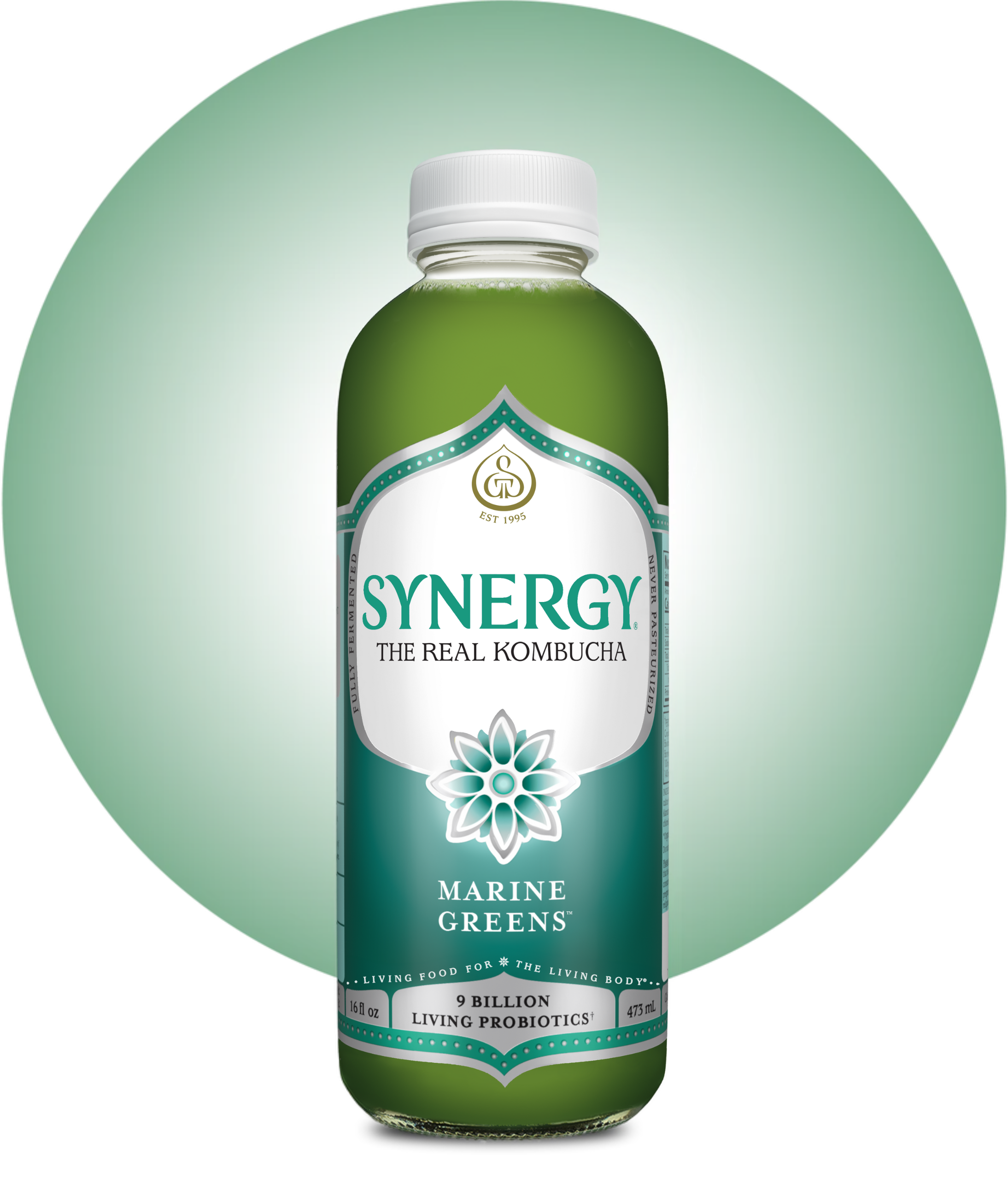 16oz Synergy Kombucha (MKT)