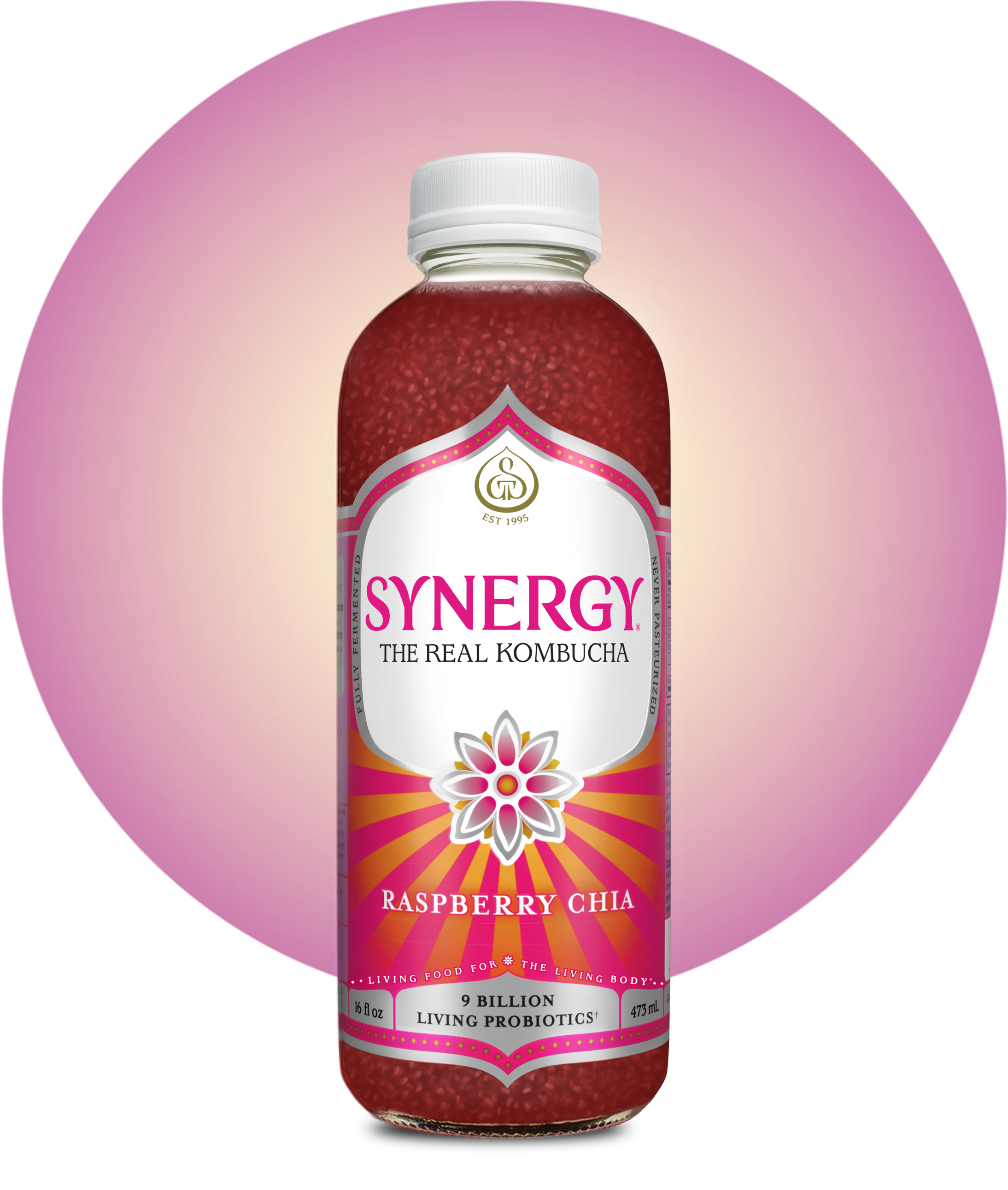 16oz Synergy Kombucha (MKT)