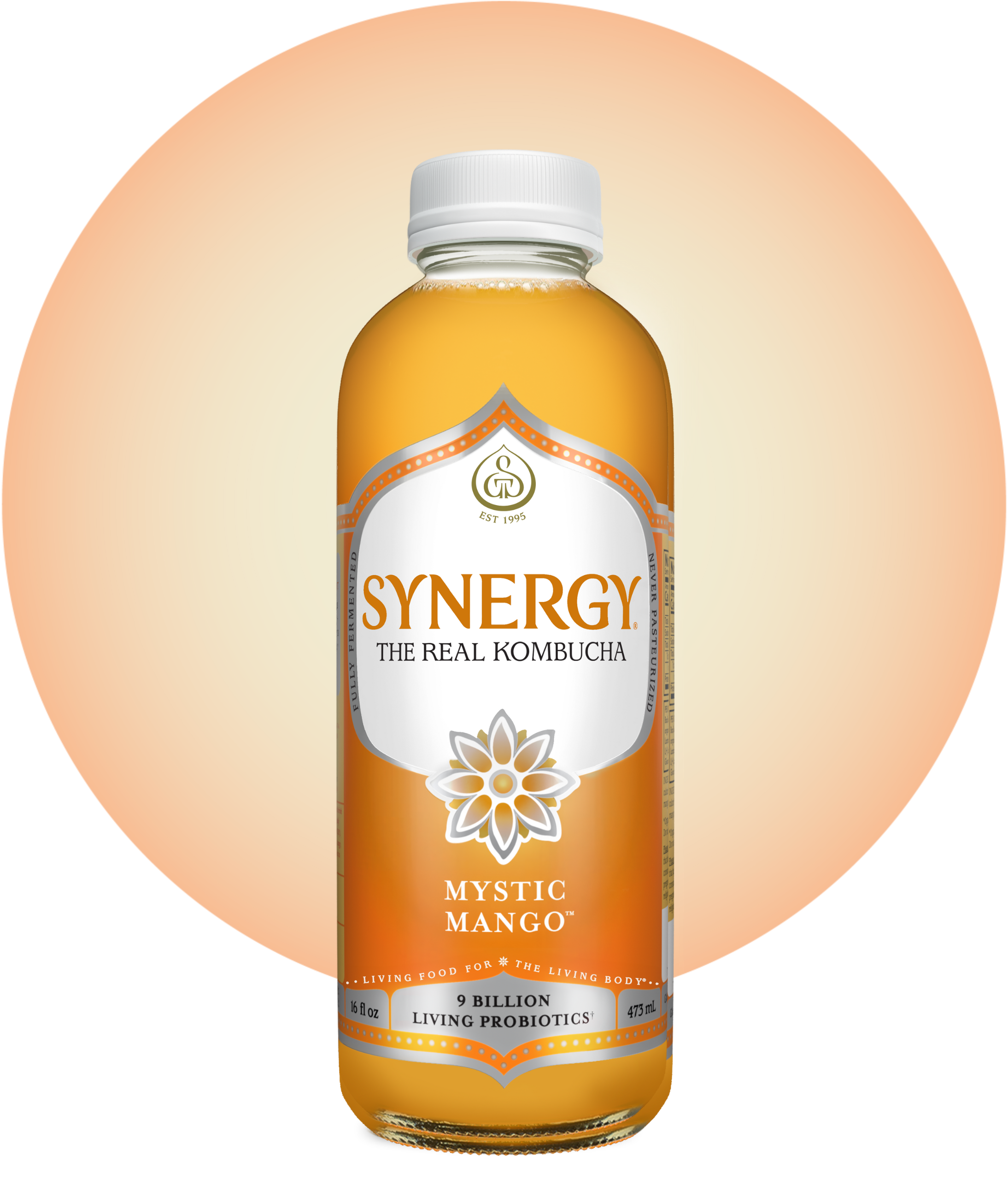 16oz Synergy Kombucha (MKT)