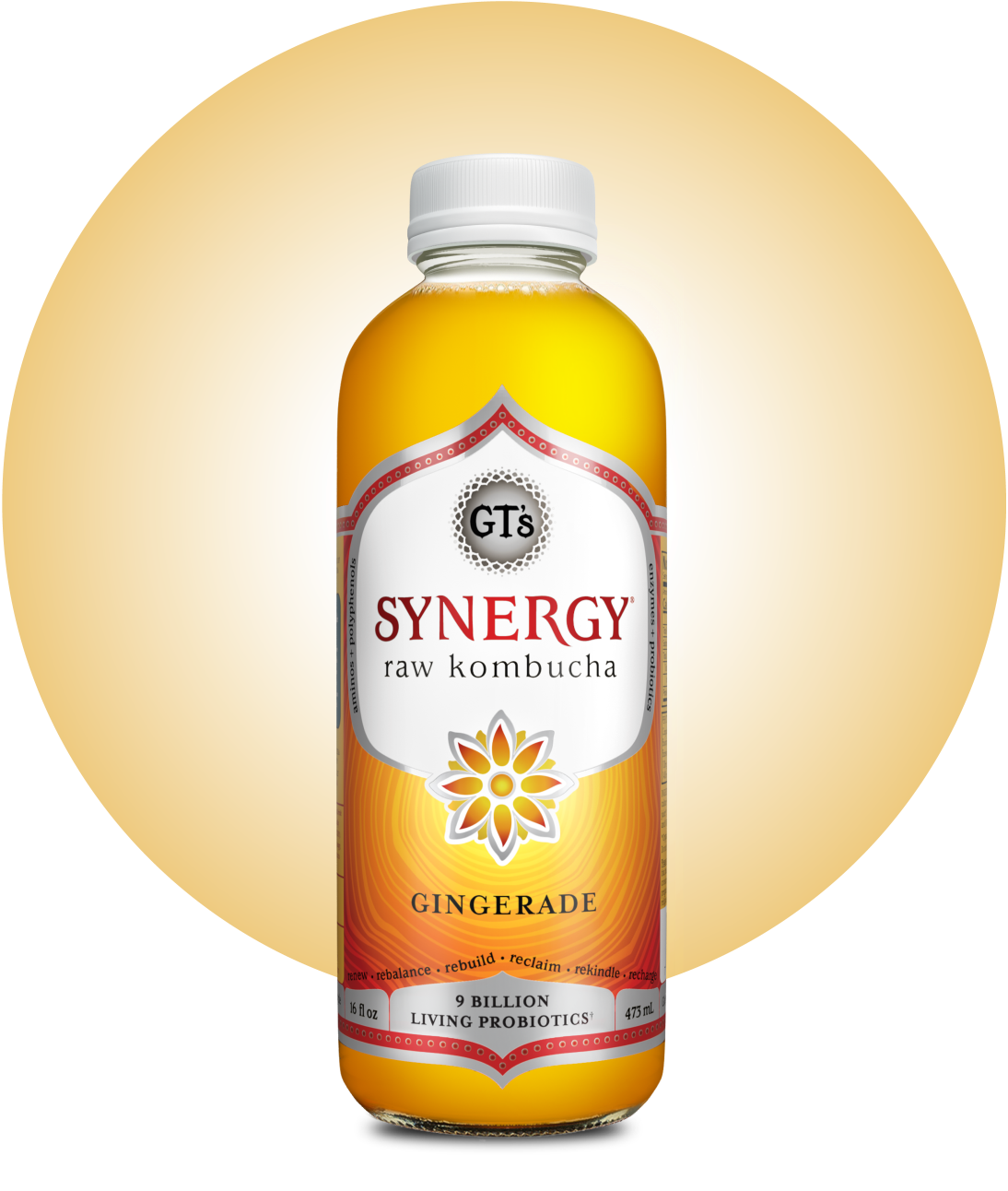 16oz Synergy Kombucha (MKT)