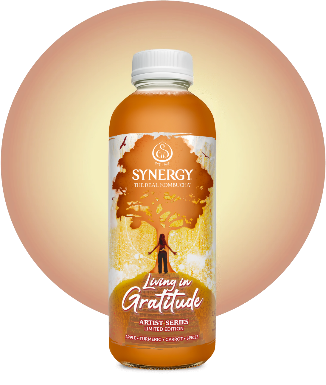 16oz Synergy Kombucha (MKT)