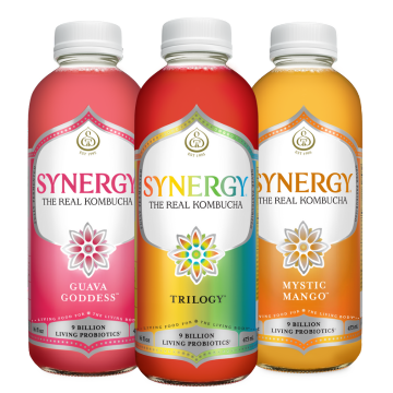 16oz Synergy Kombucha (MKT)