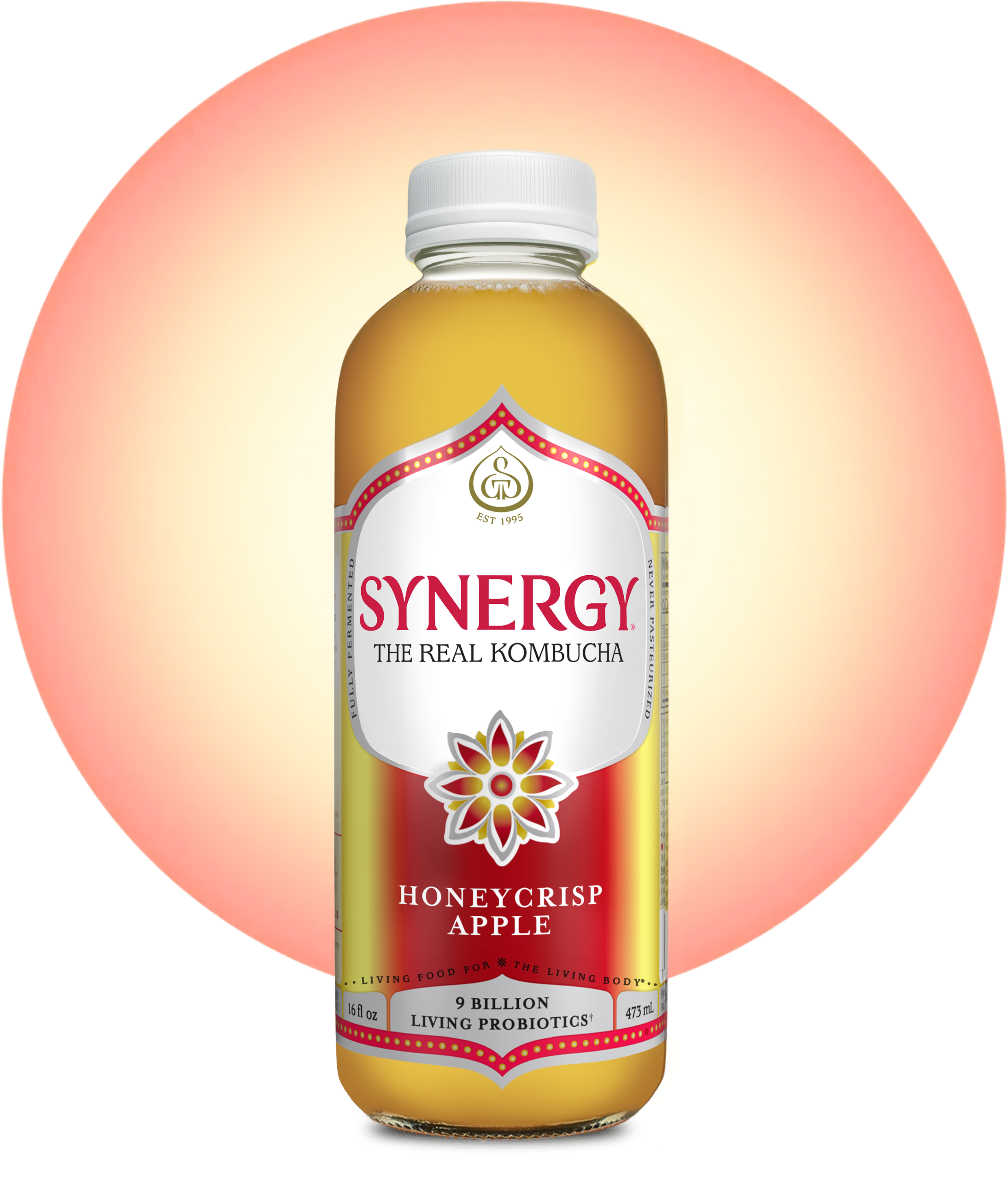 16oz Synergy Kombucha (MKT)