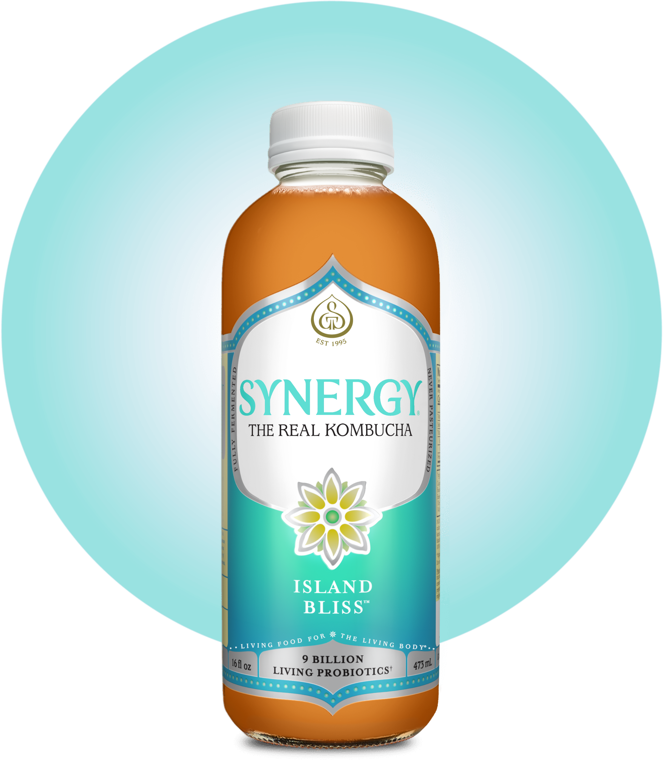 16oz Synergy Kombucha (MKT)