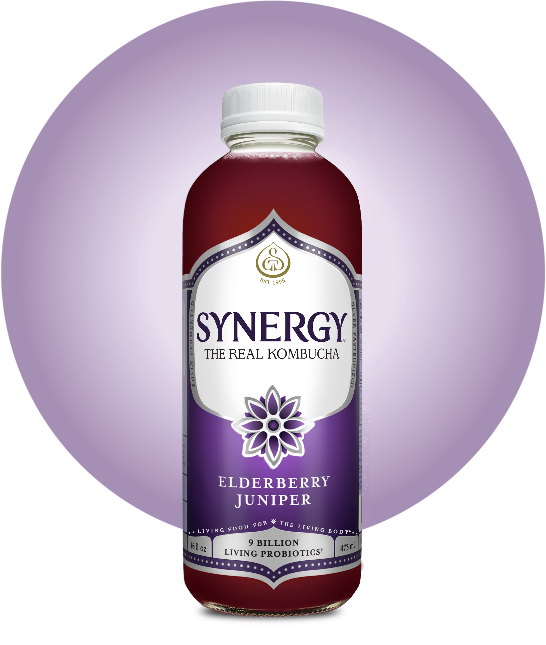 16oz Synergy Kombucha (MKT)