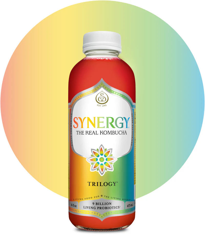 16oz Synergy Kombucha (MKT)
