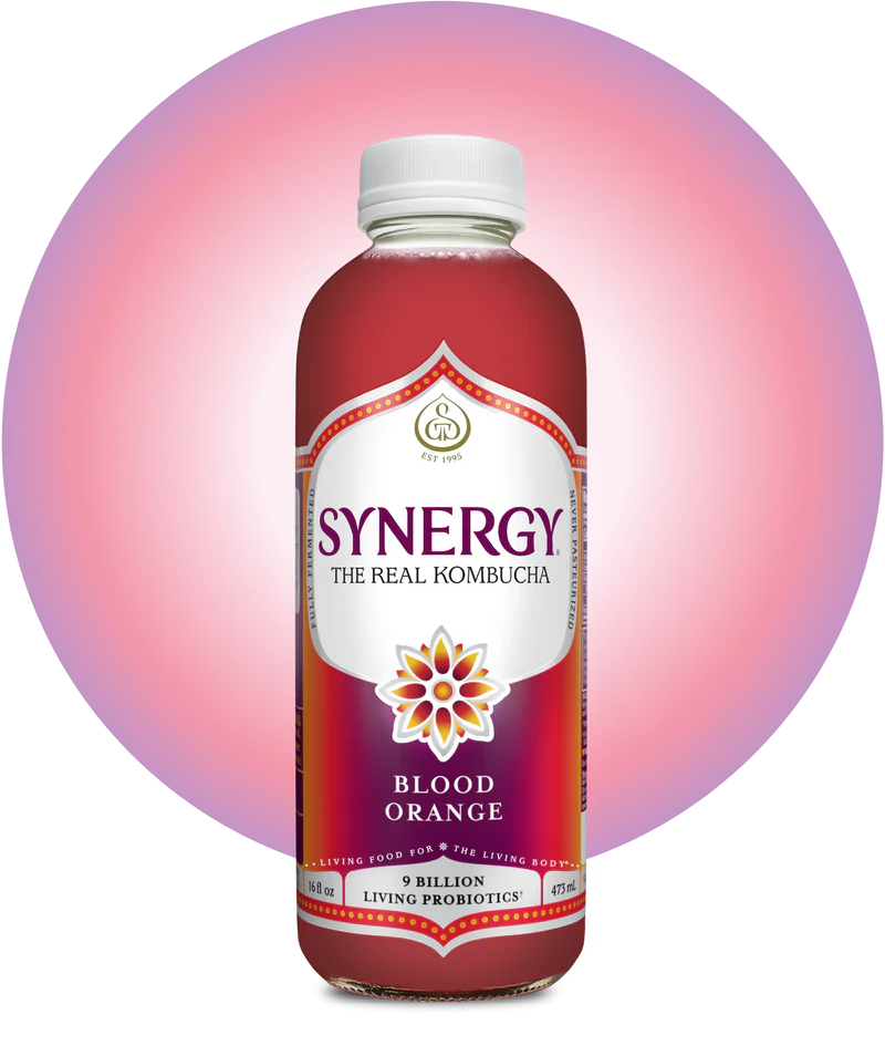 16oz Synergy Kombucha (MKT)