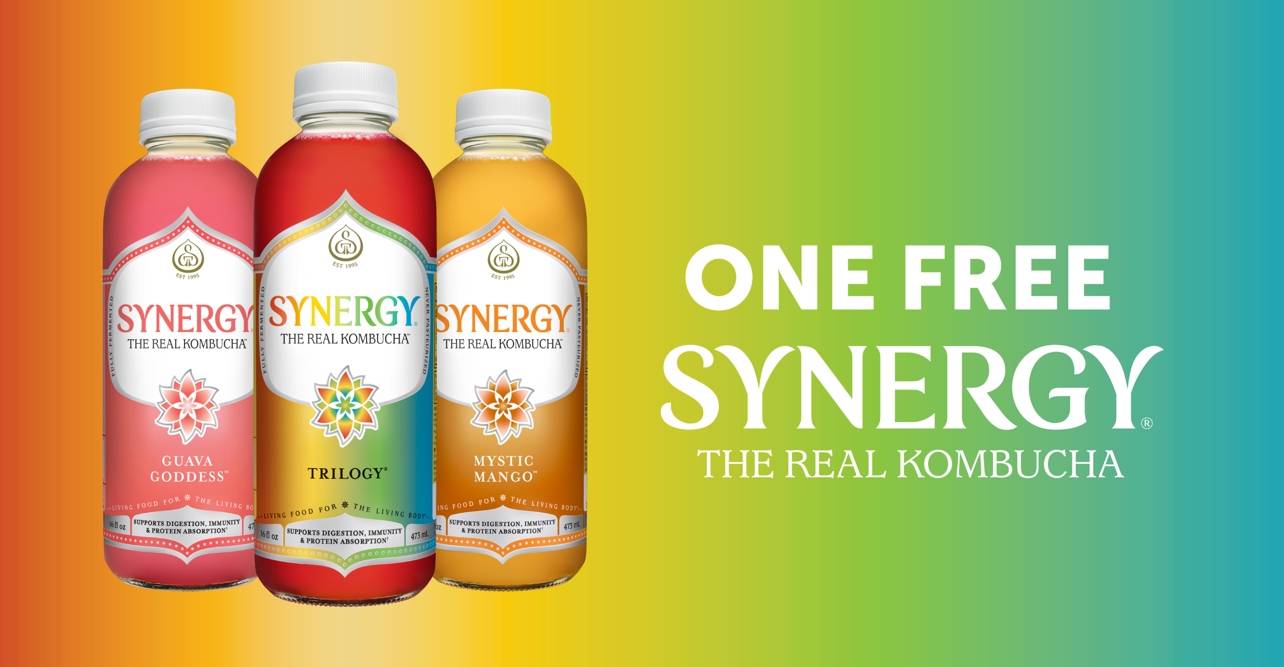 SYN VIP - MD (Offer Code: 151176)