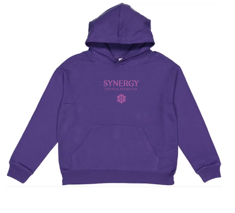 GT's Synergy Hoodie 2026
