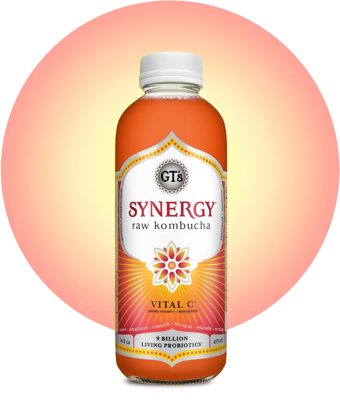 16oz Synergy Kombucha (MKT)